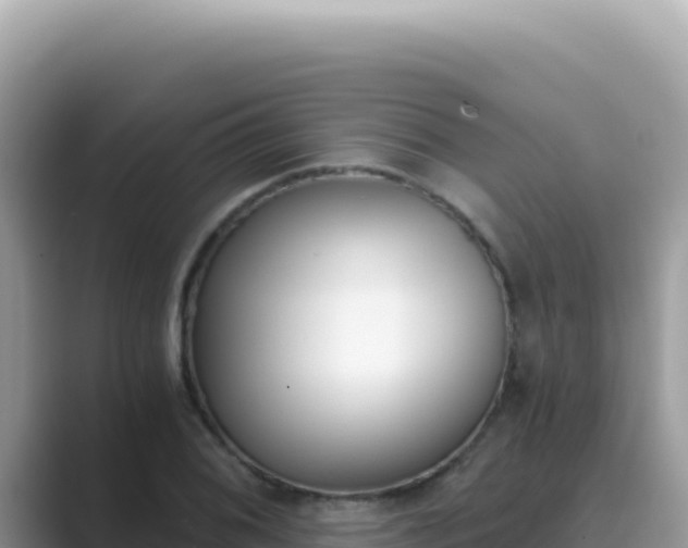 X0000089851076200707051111
