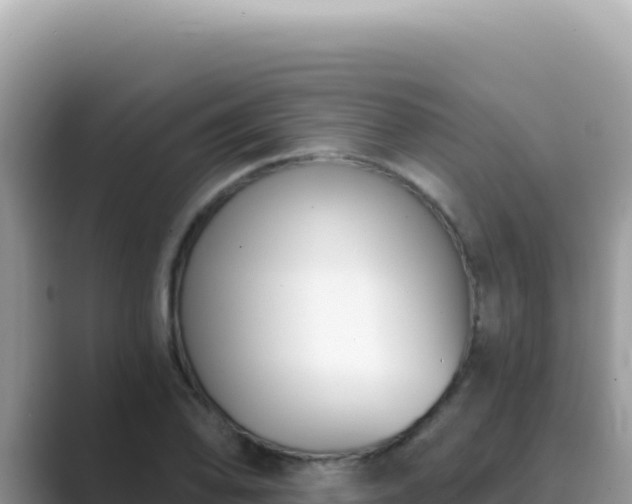 X0000089851078200707051111