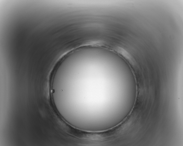 X0000089851079200707051111