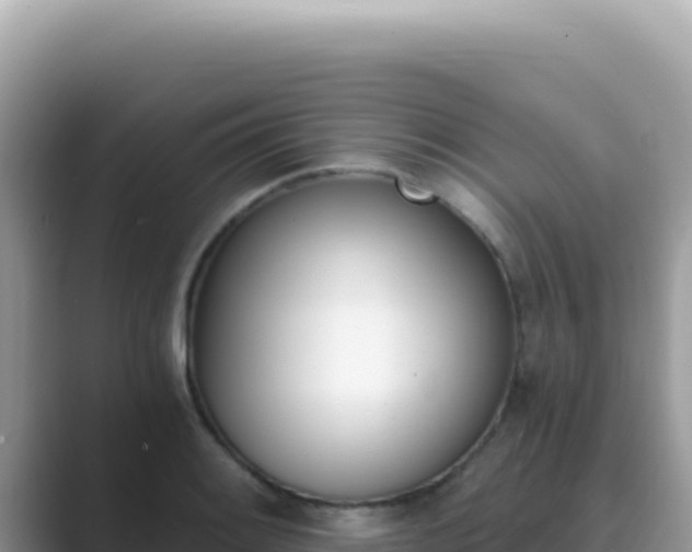 X0000089851084200707051111