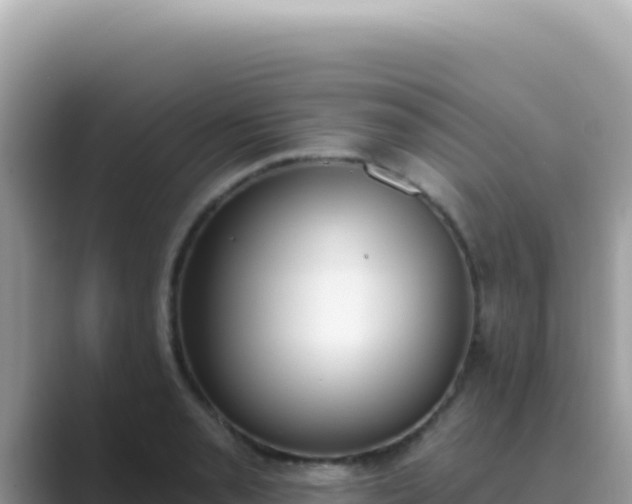 X0000089851085200707051111