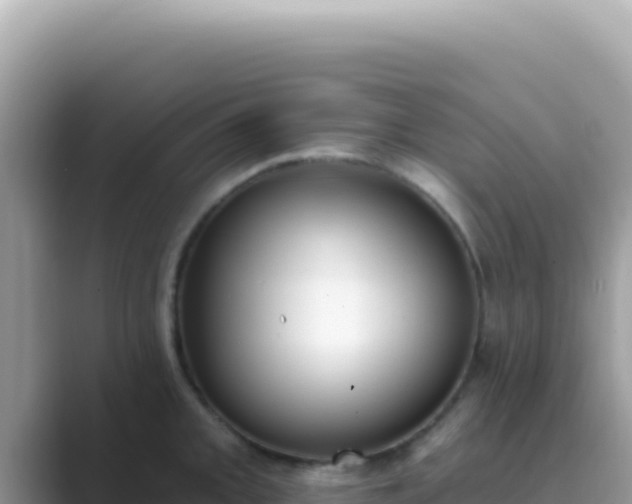 X0000089851093200707051110
