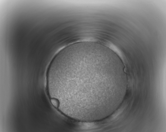 X0000089851095200707051110