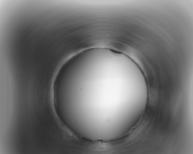 X0000089851096200707051110