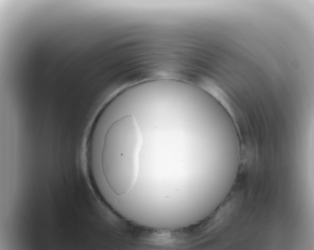 X0000089851098200707051110