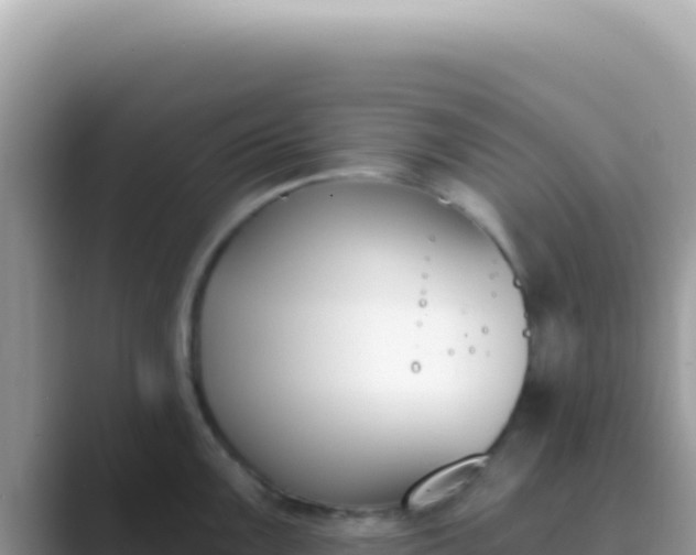 X0000089851099200707051110