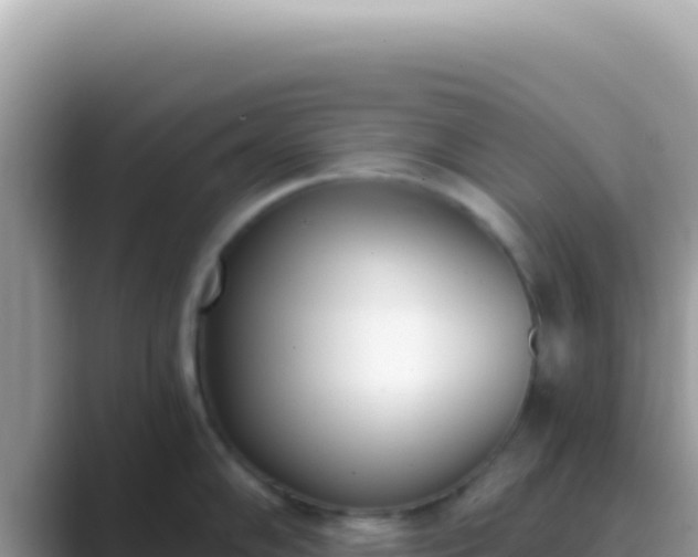 X0000089851102200707051110