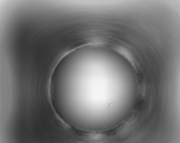 X0000089851103200707051110
