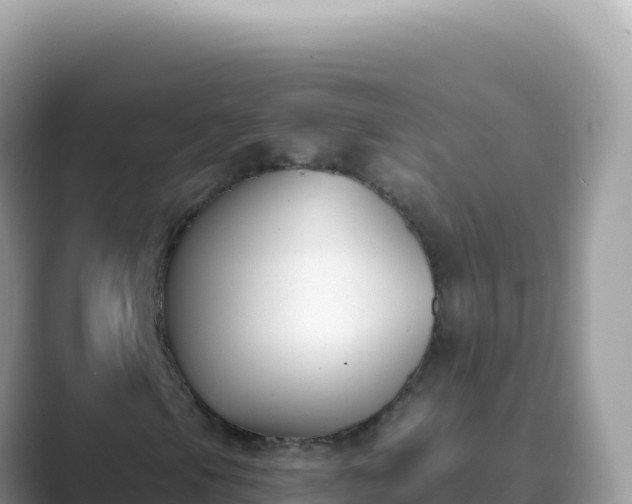 X0000089851105200707051110