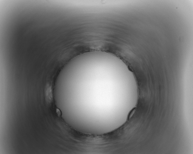 X0000089851106200707051110