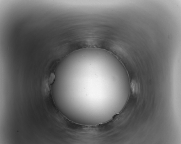 X0000089851107200707051110