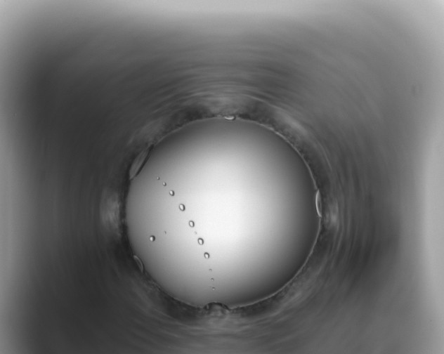 X0000089851108200707051110