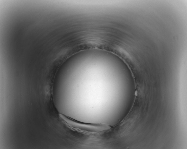 X0000089851110200707051110