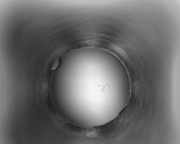 X0000089851111200707051110