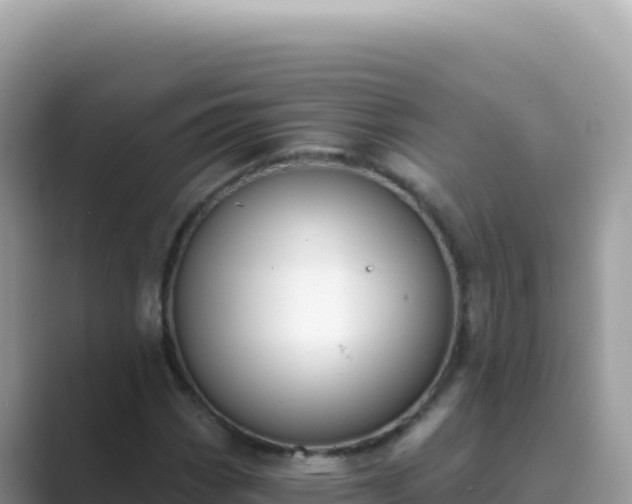 X0000089851113200707051110