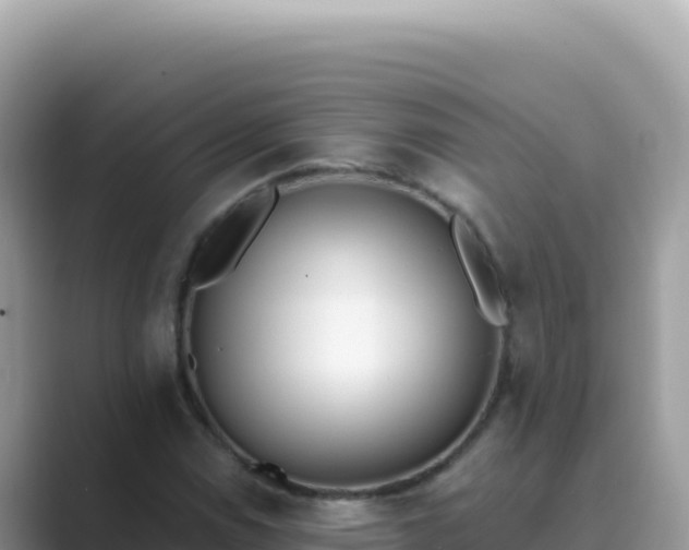 X0000089851114200707051110