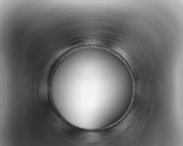 X0000089851115200707051110