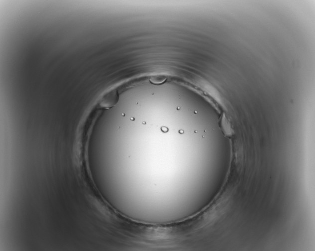 X0000089851116200707051110