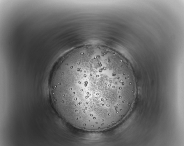 X0000089851117200707051110