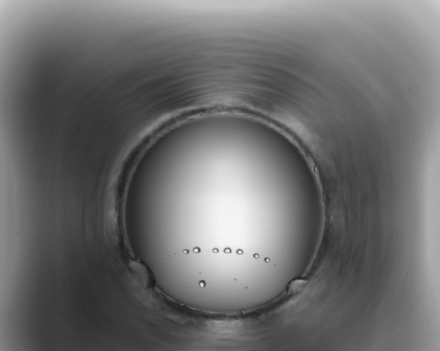X0000089851118200707051110