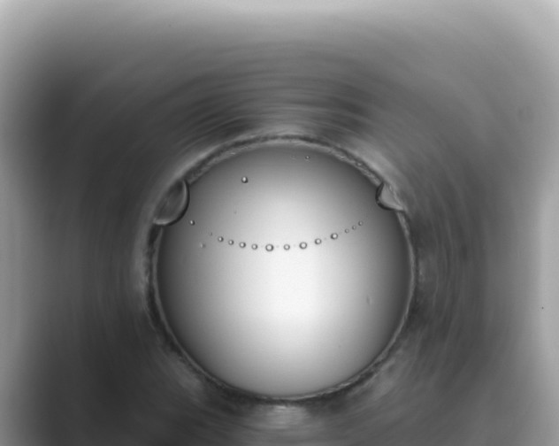 X0000089851119200707051110
