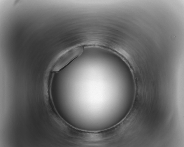 X0000089851120200707051110