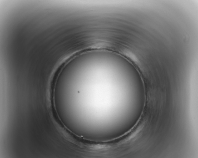 X0000089851122200707051110