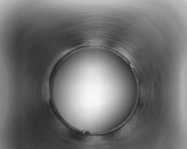X0000089851123200707051110
