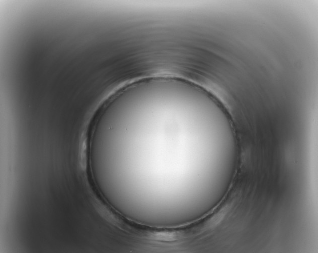 X0000089851126200707051110