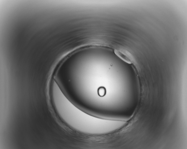 X0000089851128200707051110
