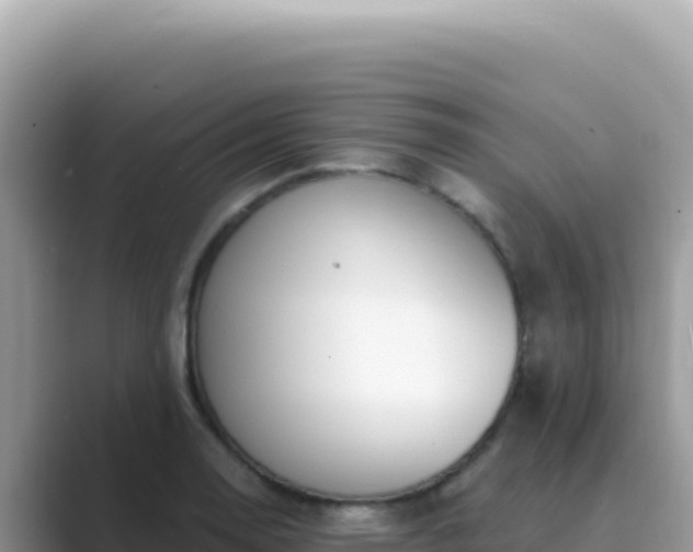 X0000089851130200707051110