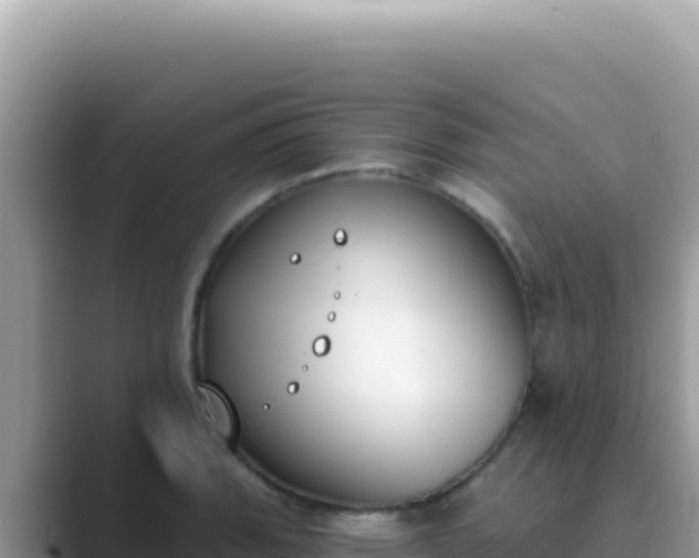 X0000089851135200707051110