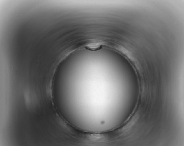 X0000089851137200707051110