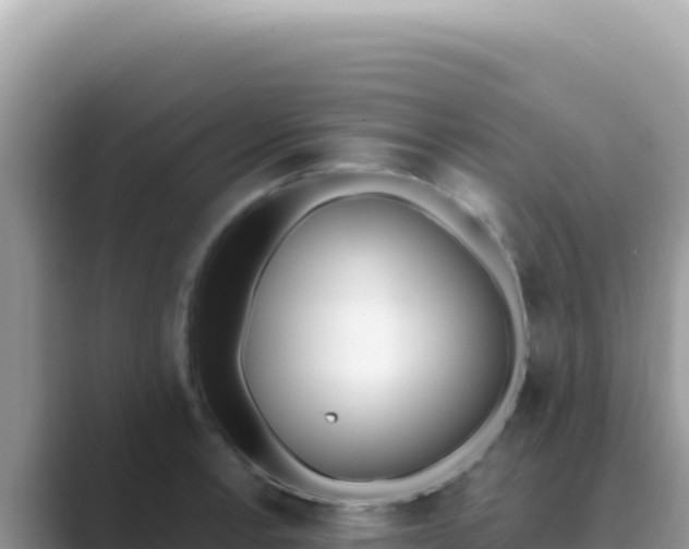 X0000089851138200707051110
