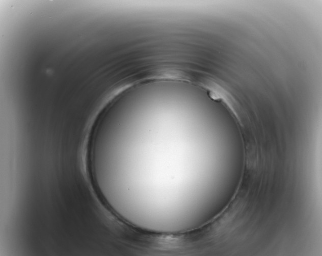 X0000089851139200707051110