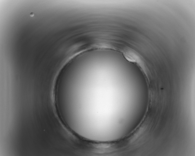 X0000089851141200707051110