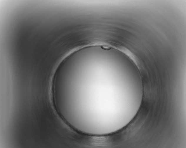 X0000089851142200707051110