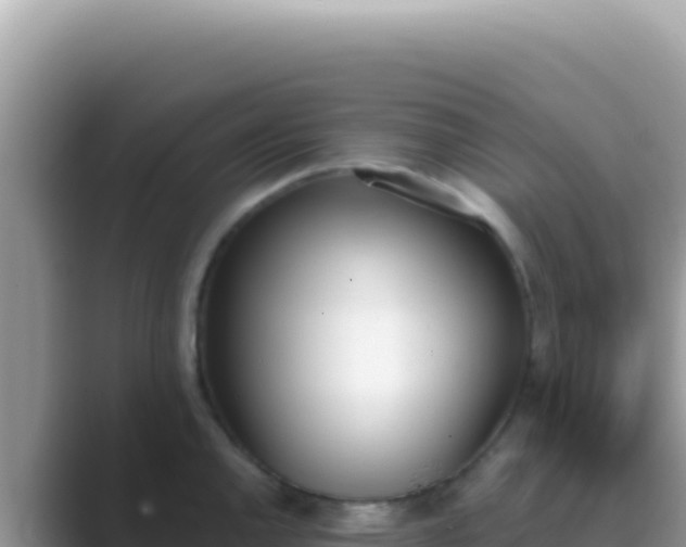 X0000089851144200707051110