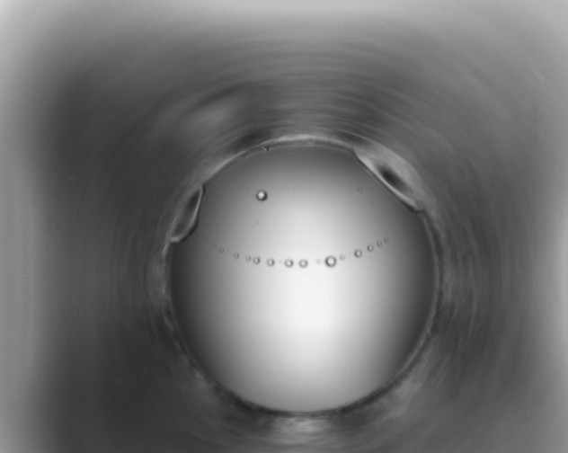 X0000089851145200707051110