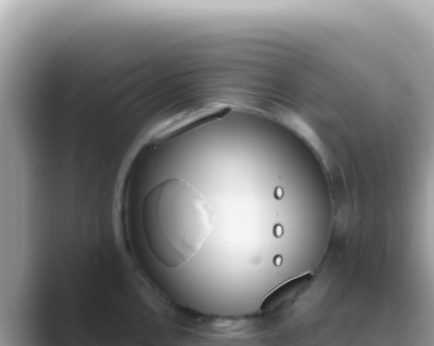 X0000089851146200707051110