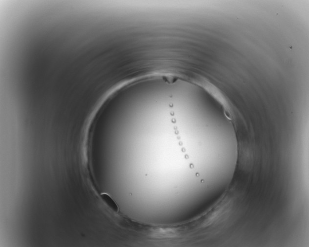 X0000089851148200707051110