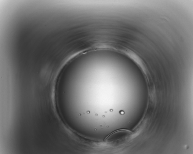 X0000089851149200707051110