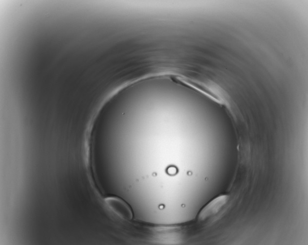 X0000089851151200707051110