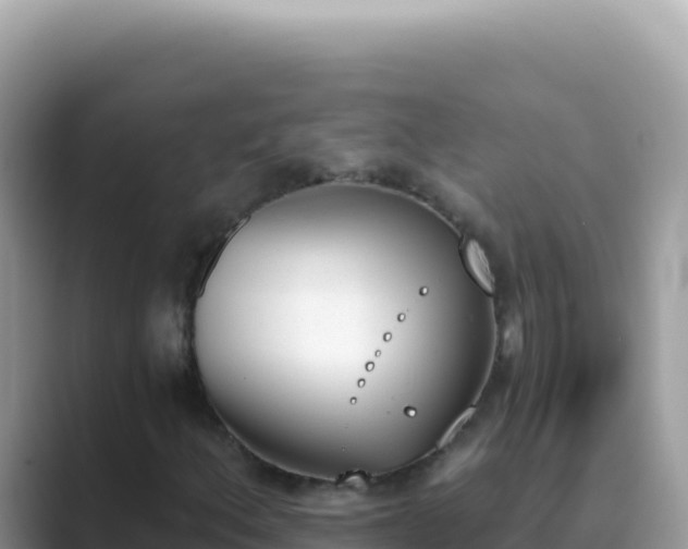 X0000089851156200707051110