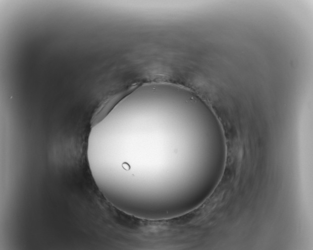 X0000089851157200707051110