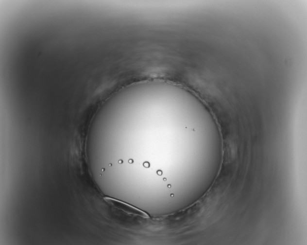X0000089851158200707051110