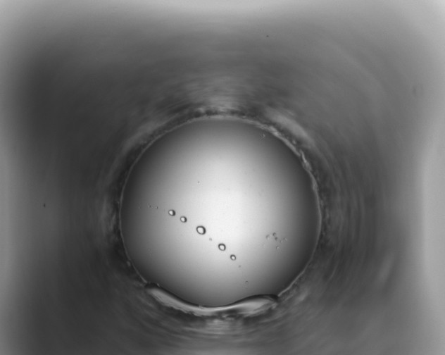 X0000089851160200707051110