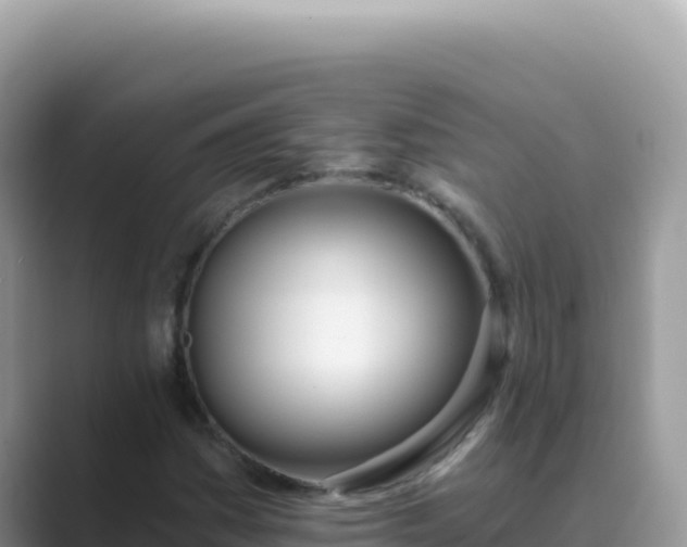 X0000089851161200707051110