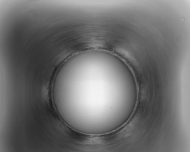 X0000089851162200707051110