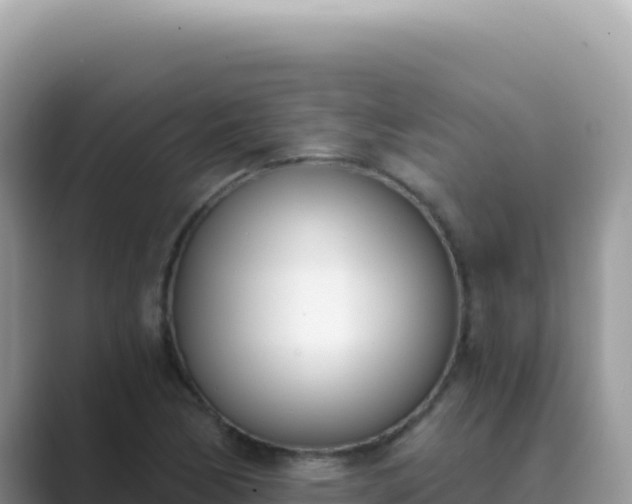 X0000089851170200707051109